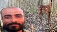 محیط بان برومند نجفی به قتل رسید / پدر مقتول او را مقابل مجتمع قضایی کرمانشاه تیرباران کرد 