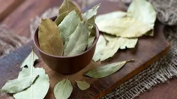 گیاهی معجزه گر در کنترل قند خون