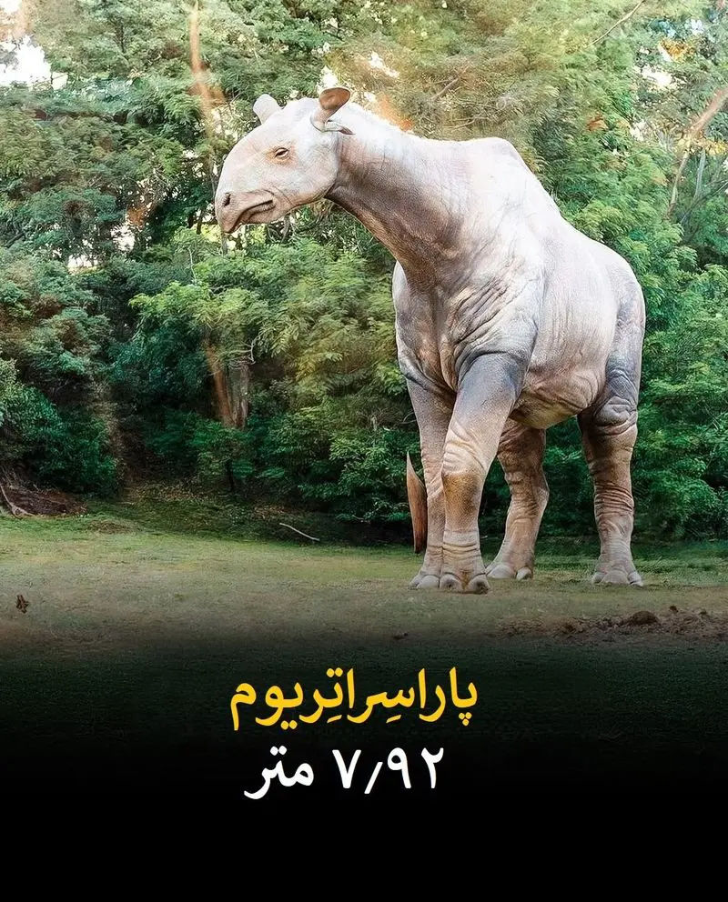 بزرگترین حیوانات تاریخ زمین