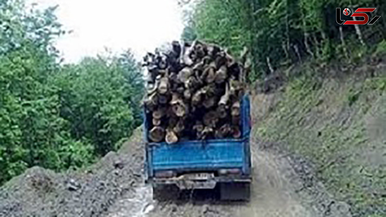 توقیف خودروی حامل چوب بلوط جنگلی قاچاق در کیار