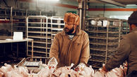 کاهش قیمت مرغ و تخم مرغ در بازار + قیمت جدید