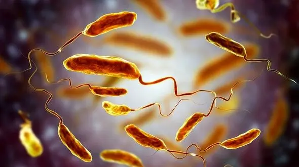 افزایش تعداد بیماران مشکوک مبتلا به وبا در ایران /  اسهال، استفراغ و گرفتگی عضلات پا از نشانه های وبا

