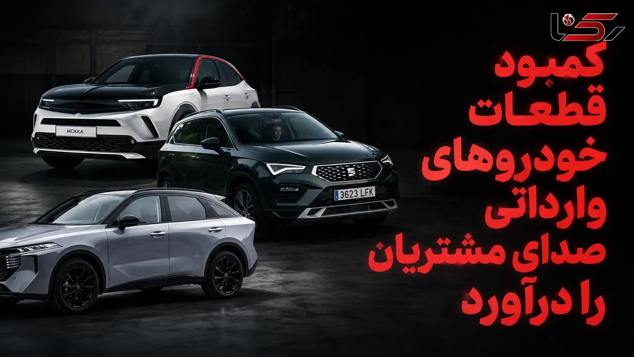 کمبود قطعات خودروهای وارداتی صدای مشتریان را درآورد / از خواب یک‌ماهه خودرو در تعمیرگاه تا نایاب شدن فیلتر هوا