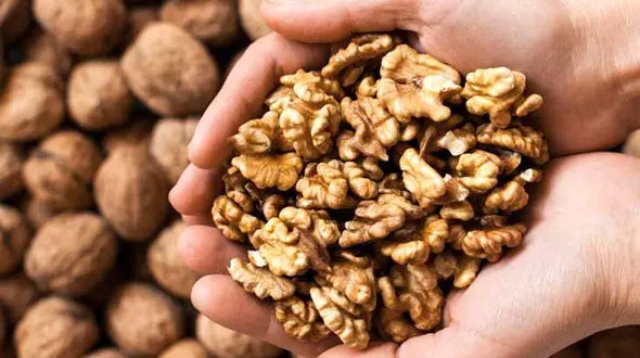 17 خوراکی مفید برای کبد چرب 