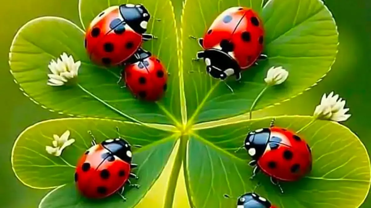 فال ابجد امروز جمعه 8 اسفند 1404