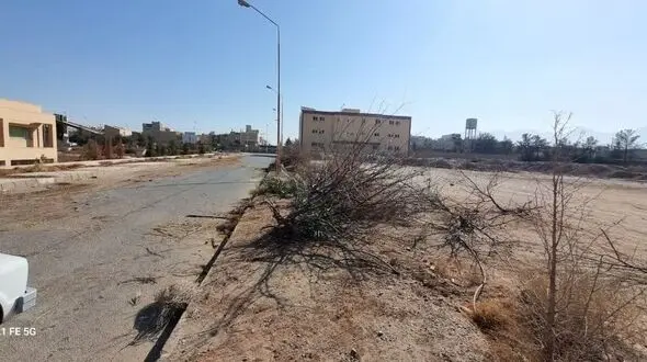 درختان در دانشگاه کشاورزی یزد از بین رفتند