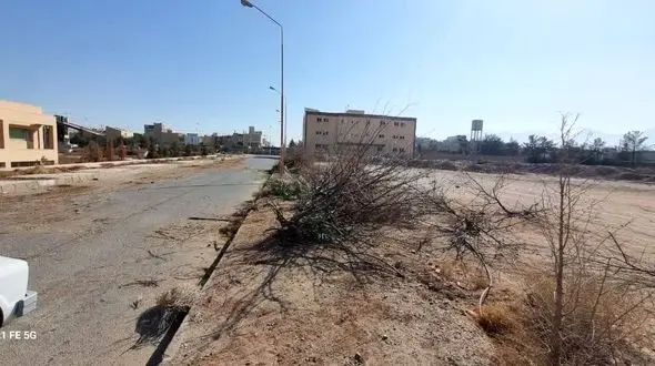 درختان در دانشگاه کشاورزی یزد از بین رفتند