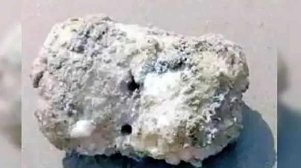 کشف موجود سه چشم در توسط یک ماهیگیر+عکس