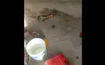 فیلم وضعیت اسفبار سرویس بهداشتی و حمام 4 زن در مرز ایران و افغانستان / زنان سالمند بلوچستان برای دستشویی به دشت و کوه می روند/ حمام شخصی، اینجا معنا ندارد 