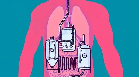 روده های یک مرد مشروب‌ الکلی می سازد !