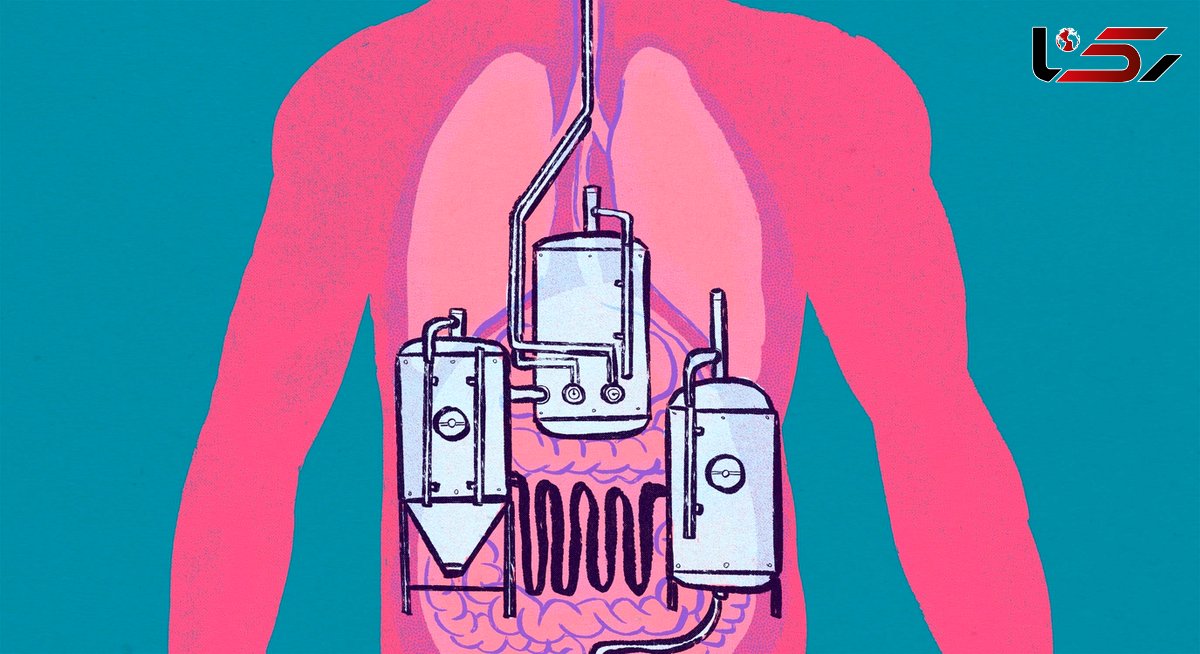 روده های یک مرد مشروب‌ الکلی می سازد !