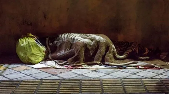 سرگذشت تکان دهنده زن کارتن خواب! / از فروش فرزند تا زندگی سیاه زن جوان