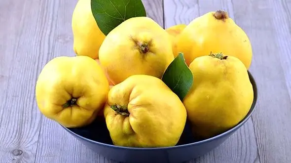 فواید جادویی به + اینفوگرافی 