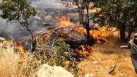 مهار آتش سوزی در کوه های سپیدان