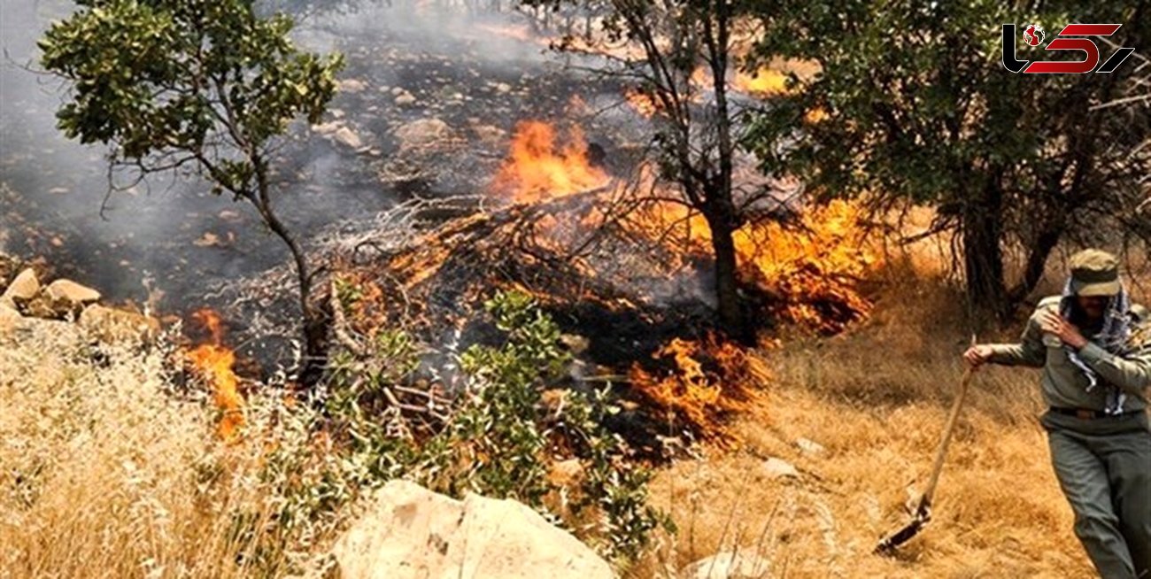 مهار آتش سوزی در کوه های سپیدان