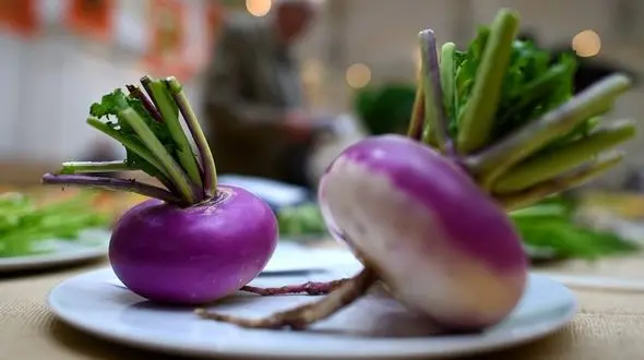 درمان کم خونی با شلغم