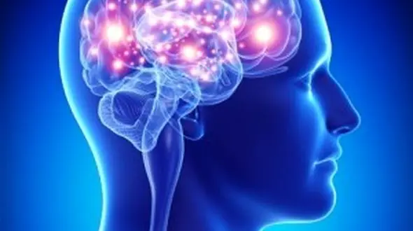 اصلاح برخی شیوه‌های زندگی مانع از مرگ سلول های مغزی می شود