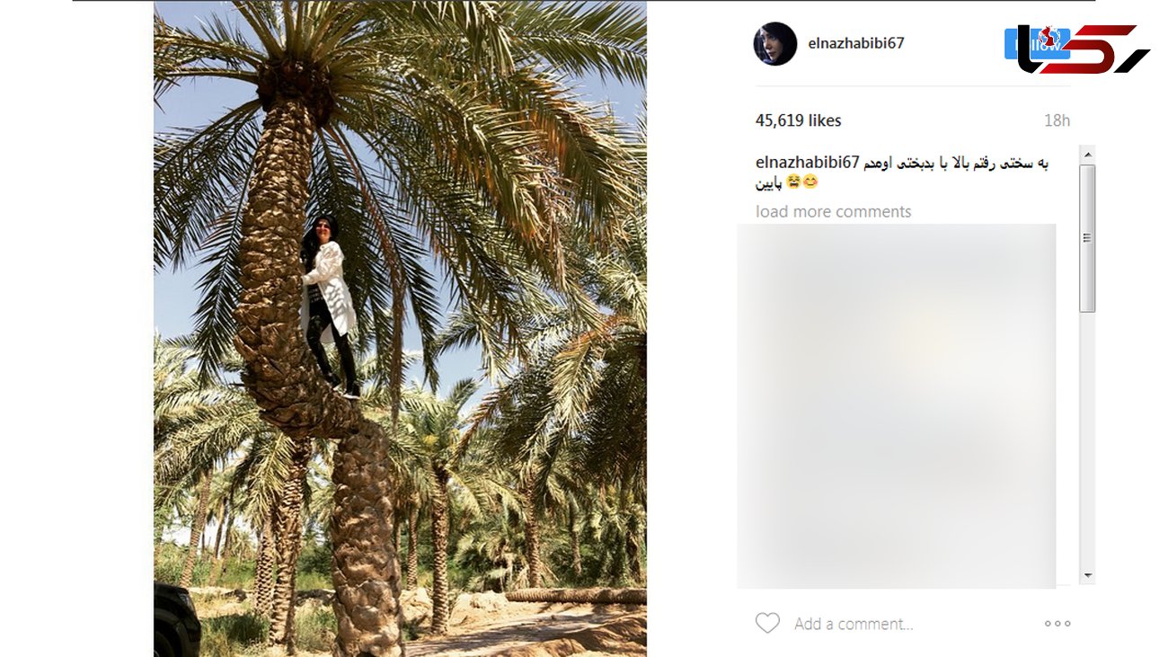 بازیگر معروفی که از درخت بالا رفت+ عکس