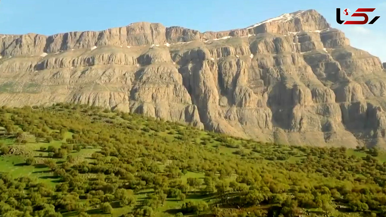 ببینید / نماهنگ بی کلام و آرامش بخش با تصاویری از مهراب کوه + فیلم 