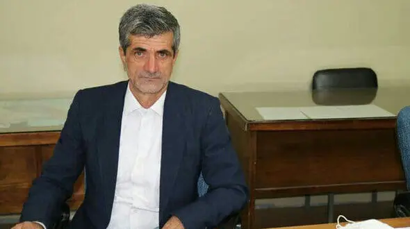 سگ های ولگرد از شهری به شهر دیگر منتقل میشوند 