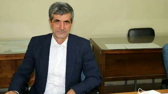 سگ های ولگرد از شهری به شهر دیگر منتقل میشوند 