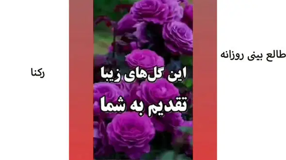 فال روزانه شخصی/ 30 خرداد ماه + فیلم