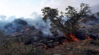 تداوم آتش سوزی در ارتفاعات سروستان فارس