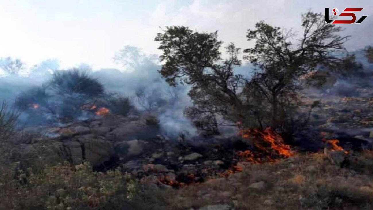 تداوم آتش سوزی در ارتفاعات سروستان فارس