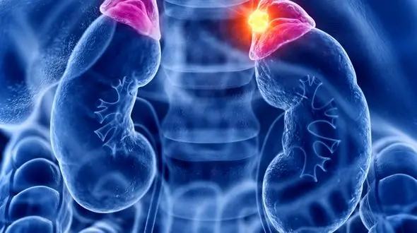 کورتیزول چیست؟ / 7 جدول مهم و مفید درباره کورتیزول 