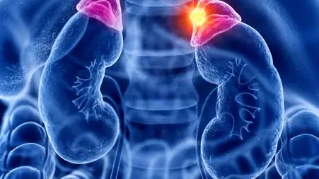 کورتیزول چیست؟ / 7 جدول مهم و مفید درباره کورتیزول 