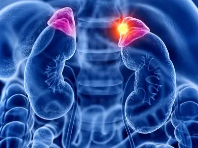 کورتیزول چیست؟ / 7 جدول مهم و مفید درباره کورتیزول 