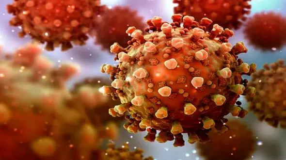 موج پنجم کرونا چرا در کشورمان ایجاد شد؟  + فیلم