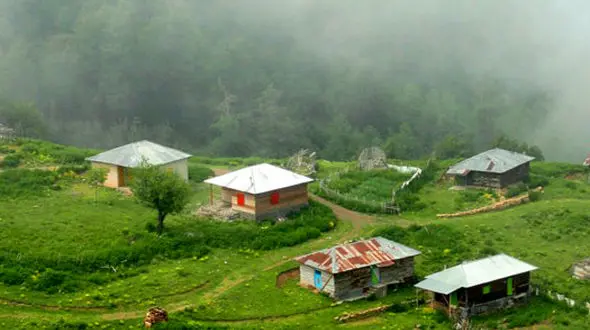 زیبایی های چشم نواز مازندران، جنگل دالخانی