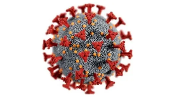 کرونا دوباره اوج گرفت