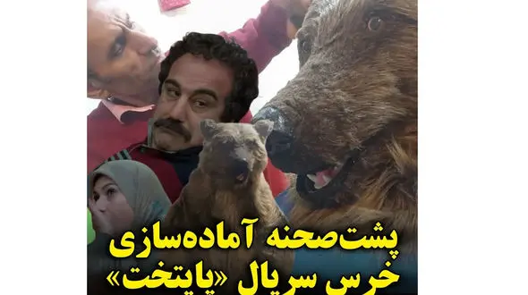 پشت‌صحنه آماده سازی خرس «پایتخت» / از دست ندید!
