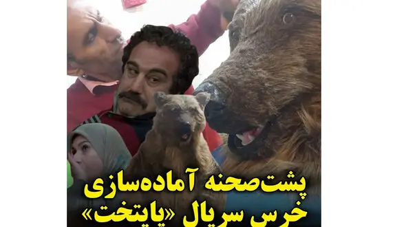 پشت‌صحنه آماده سازی خرس «پایتخت» / از دست ندید!