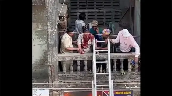 ببینید / حمله خونین پلنگ وحشی به یک خانه / همه را خونی مالی کرد + فیلم