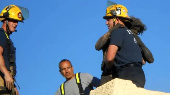 نجات مرد دوده ای از دودکش/ 4 ساعت جدال با مرگ