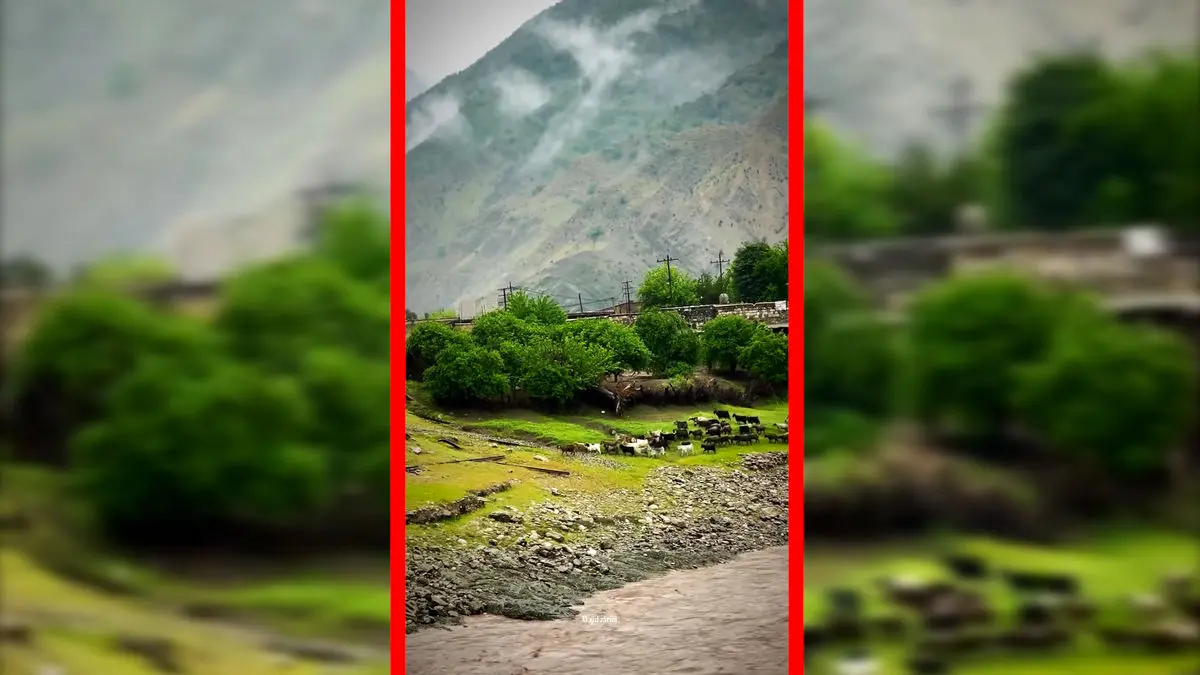 فیلم طبیعت بکر روستای تنگ ۷ لرستان