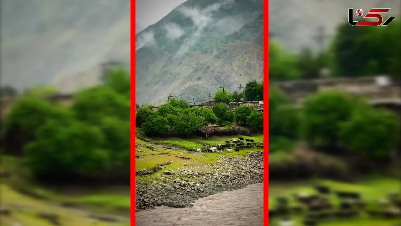 فیلم طبیعت بکر روستای تنگ ۷ لرستان