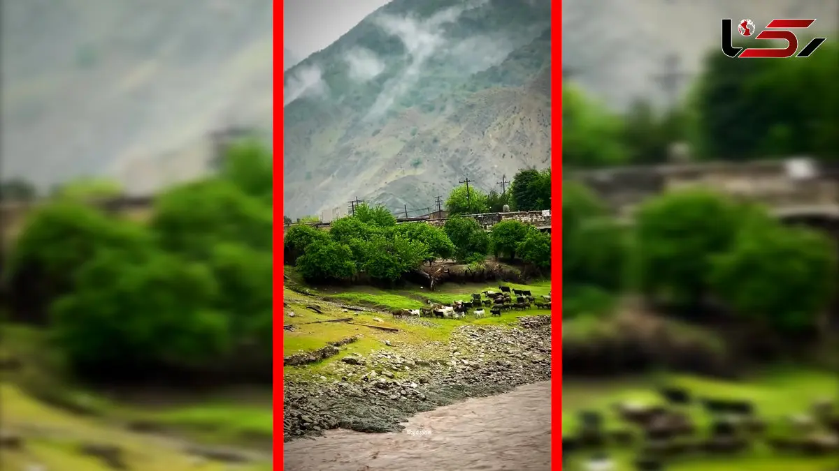 فیلم طبیعت بکر روستای تنگ ۷ لرستان