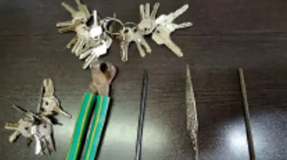 سارق معروف به موش با شاه کلیدهایش دستگیر شد + عکس و جزییات