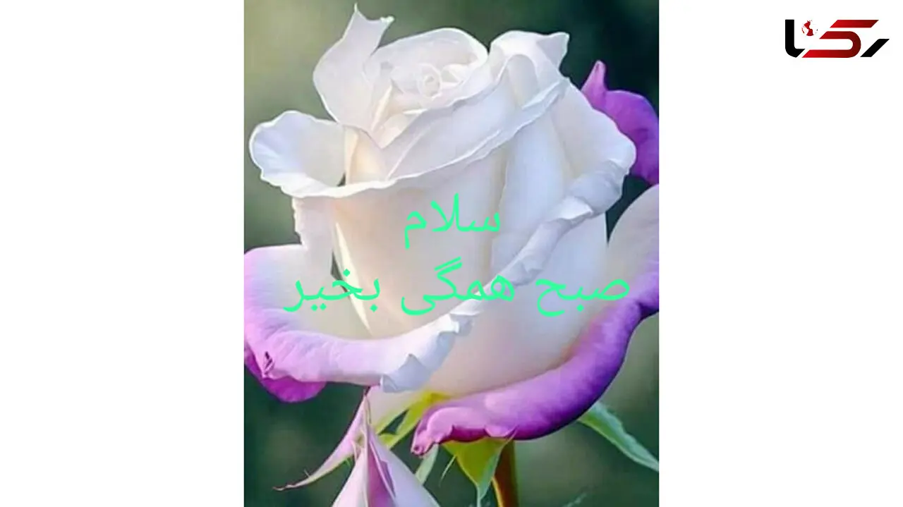 فال روزانه شخصی / 21 اردیبهشت ماه + فیلم