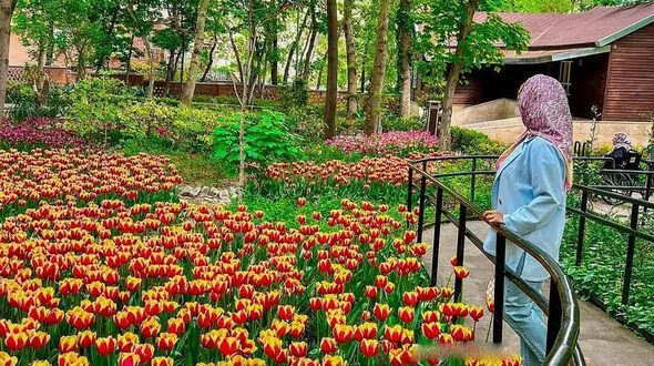 باغ ایرانی تهران از زیبایی های بهار پایتخت + عکس