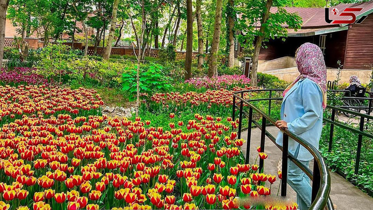 باغ ایرانی تهران از زیبایی های بهار پایتخت + عکس