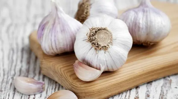 برای مقابله با آلزایمر سیر بخورید