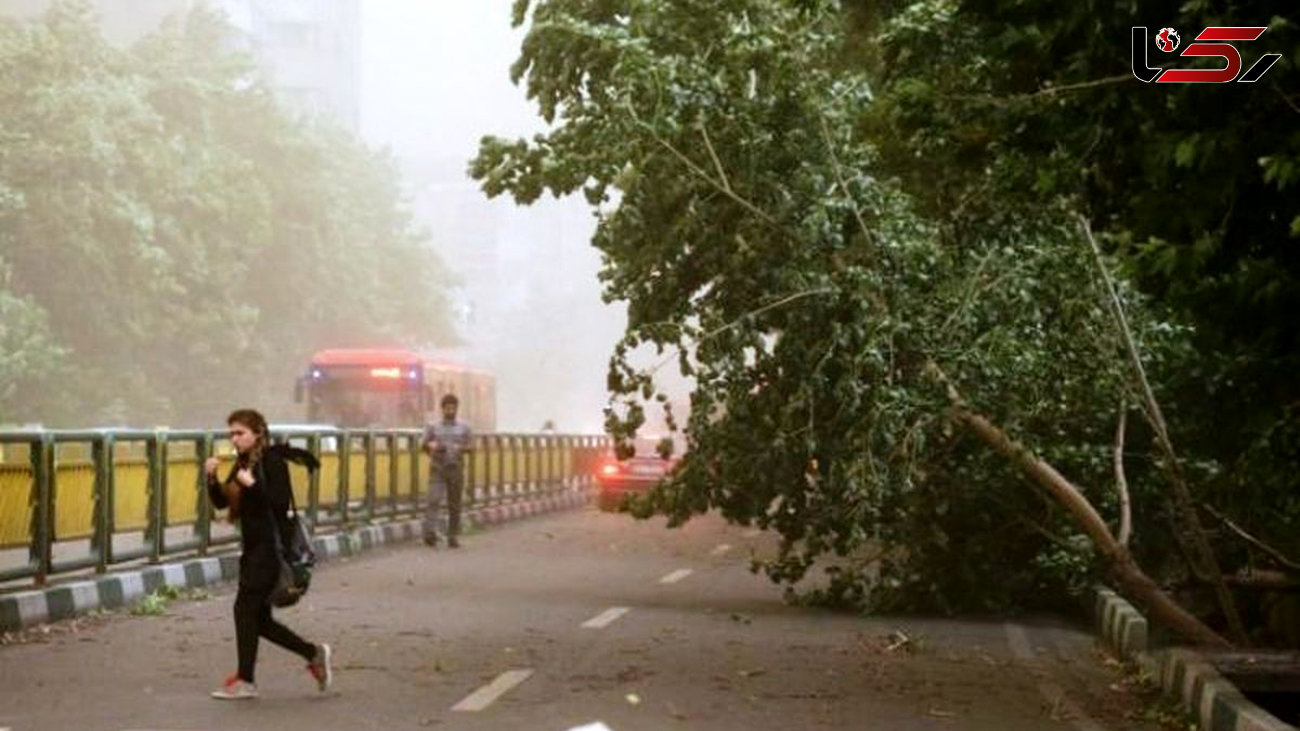 هشدار هواشناسی برای تهرانی ها / طوفان و سیل در راه است