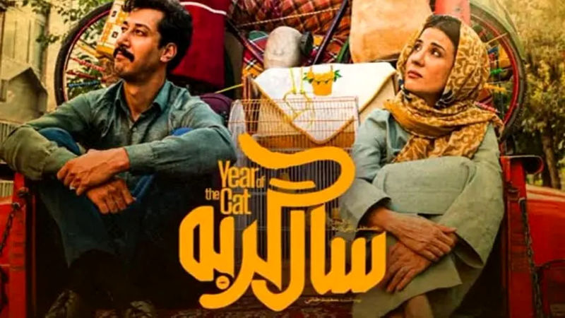 فیلم سال گربه