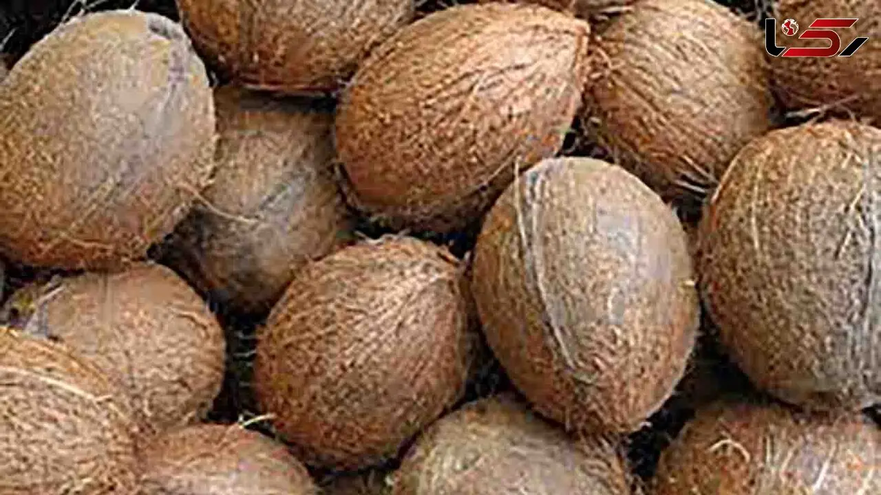 میوه های چاق کننده را می شناسید؟ + اینفوگرافی