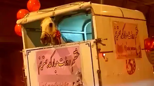 فیلم حمل اسب در خیابان های تهران